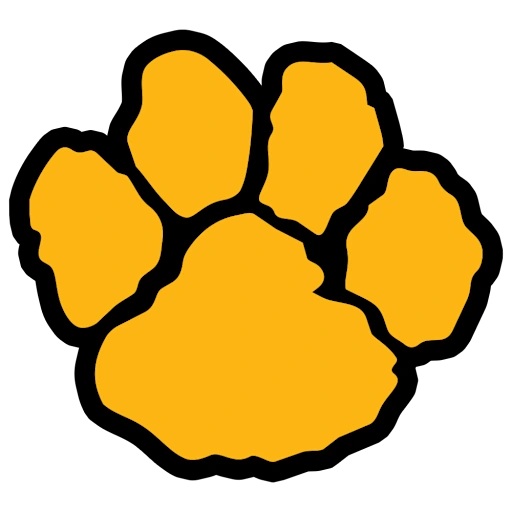 North Allegheny logo